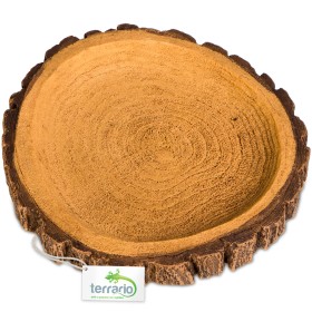 Terrario Tree Ring Bowl M - Natural Style